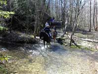 Great Smoky Mountains National Park