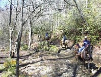 Smoky Mountain National Park