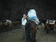 Helping Rider Dismount